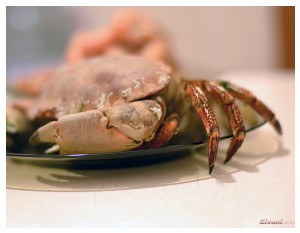 Givani.net - Food Photo • Еда фото - Crab Photo • Краб фото