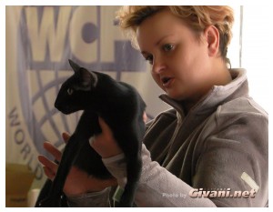 Cats Shows Photo • Выставки кошек - Cats Show • September, 2010 • Донецк - 059