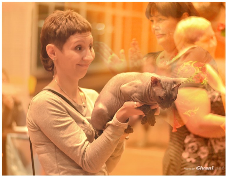 Cats Shows Photo • Выставки кошек - Cats Show • October, 2013 • Донецк - 55