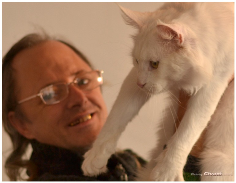 Cats Shows Photo • Выставки кошек - November, 2013 • Кубок Hill's • Донецк - 05