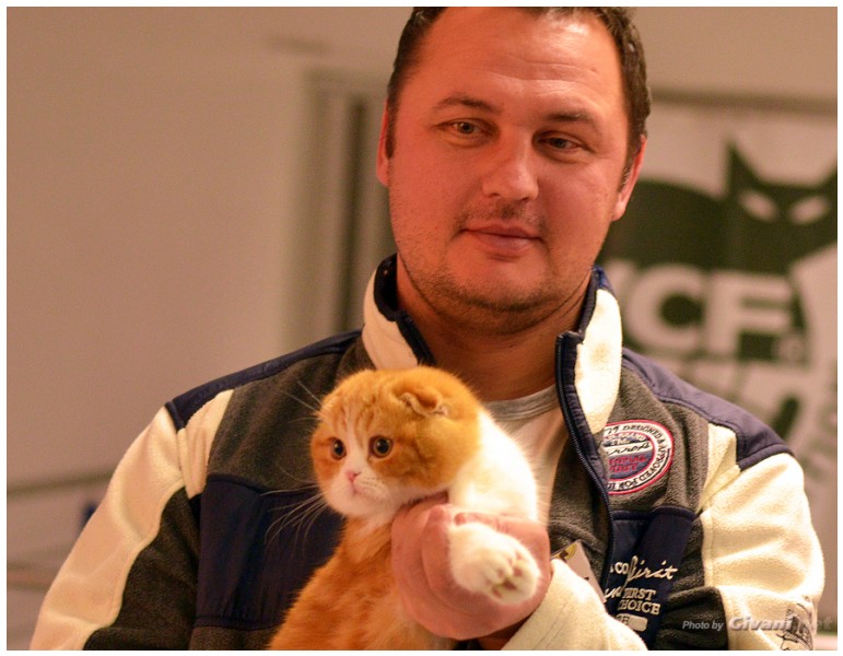 Cats Shows Photo • Выставки кошек - December, 2013 • Чеширский кот • Одесса - 28
