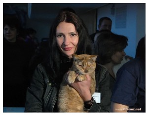 Cats Shows Photo • Выставки кошек - November, 2010 • Кубок Hill's • Донецк - 049