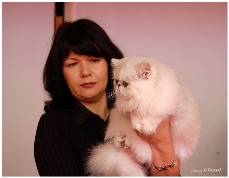 Cats Shows Photo • Выставки кошек - Cats Show • March, 2010 • Донецк - 060