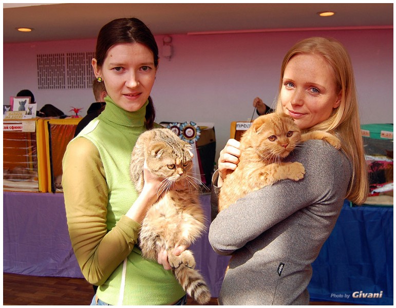 Cats Shows Photo • Выставки кошек - Cats Show • March, 2010 • Донецк - 080