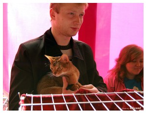 Cats Shows Photo • Выставки кошек - Cats Show • March, 2010 • Донецк - 043