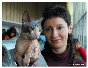 Cats Shows Photo • Выставки кошек - November, 2010 • Кубок Hill's • Донецк - 033