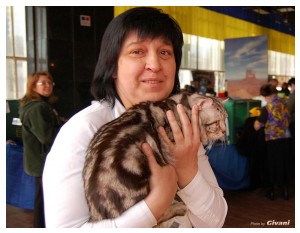 Cats Shows Photo • Выставки кошек - Cats Show • March, 2010 • Донецк - 178