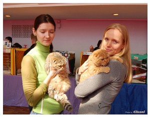 Cats Shows Photo • Выставки кошек - Cats Show • March, 2010 • Донецк - 079