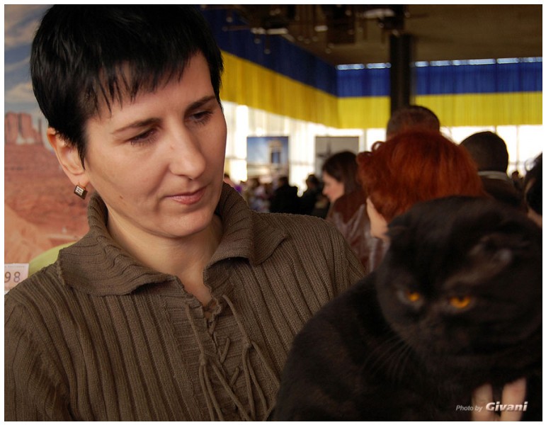 Cats Shows Photo • Выставки кошек - Cats Show • March, 2010 • Донецк - 135