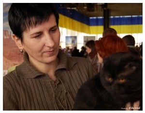 Cats Shows Photo • Выставки кошек - Cats Show • March, 2010 • Донецк - 135