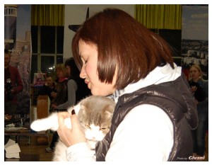 Cats Shows Photo • Выставки кошек - Cats Show • March, 2010 • Донецк - 360