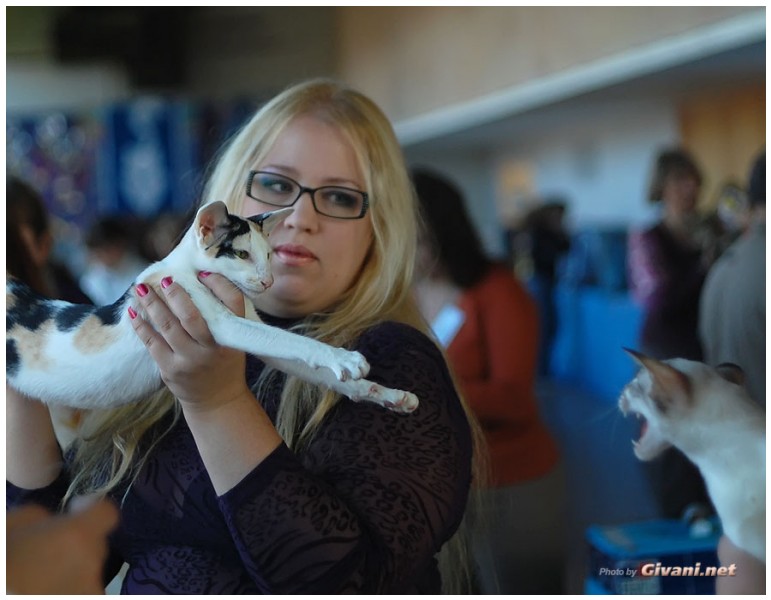 Cats Shows Photo • Выставки кошек - November, 2010 • Кубок Hill's • Донецк - 075