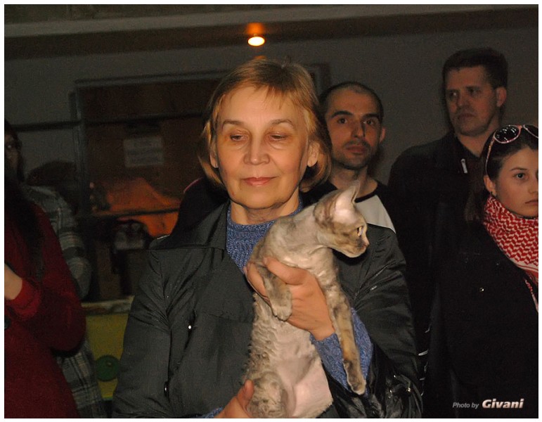 Cats Shows Photo • Выставки кошек - Cats Show • March, 2010 • Донецк - 398
