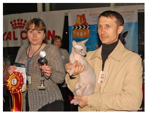 Cats Shows Photo • Выставки кошек - Cats Show • March, 2010 • Донецк - 410