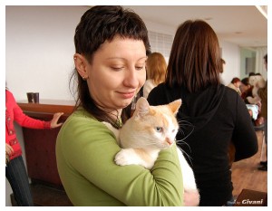 Cats Shows Photo • Выставки кошек - Cats Show • March, 2010 • Донецк - 442