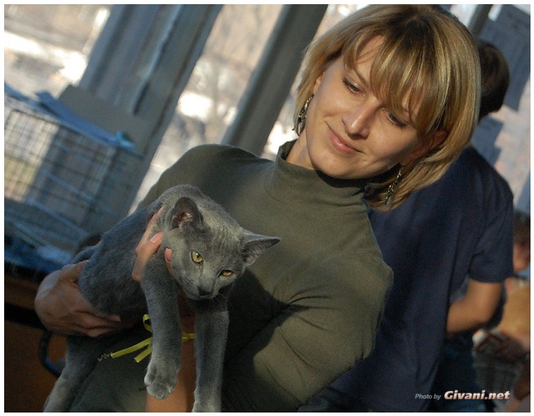 Cats Shows Photo • Выставки кошек - November, 2010 • Кубок Hill's • Донецк - 048