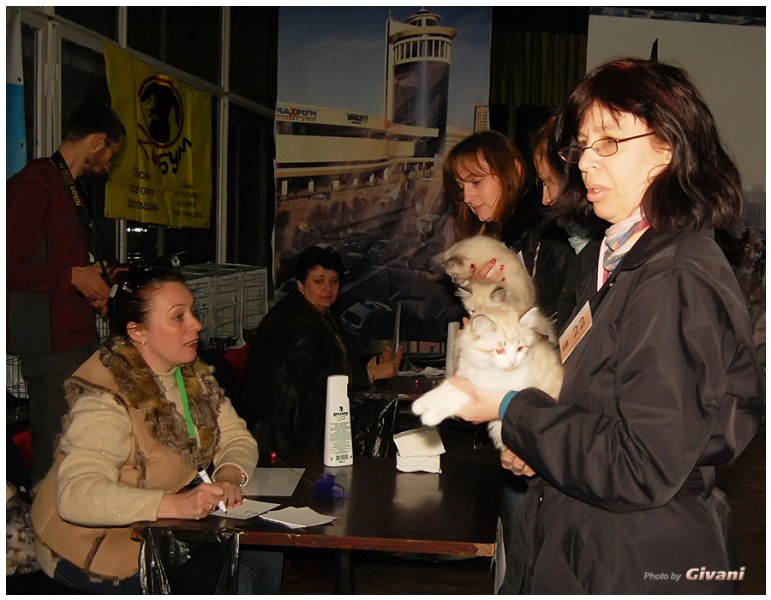 Cats Shows Photo • Выставки кошек - Cats Show • March, 2010 • Донецк - 366