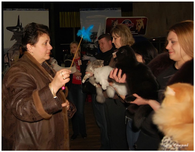 Cats Shows Photo • Выставки кошек - Cats Show • March, 2010 • Донецк - 384