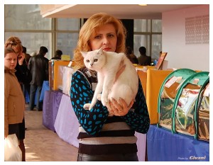 Cats Shows Photo • Выставки кошек - Cats Show • March, 2010 • Донецк - 504
