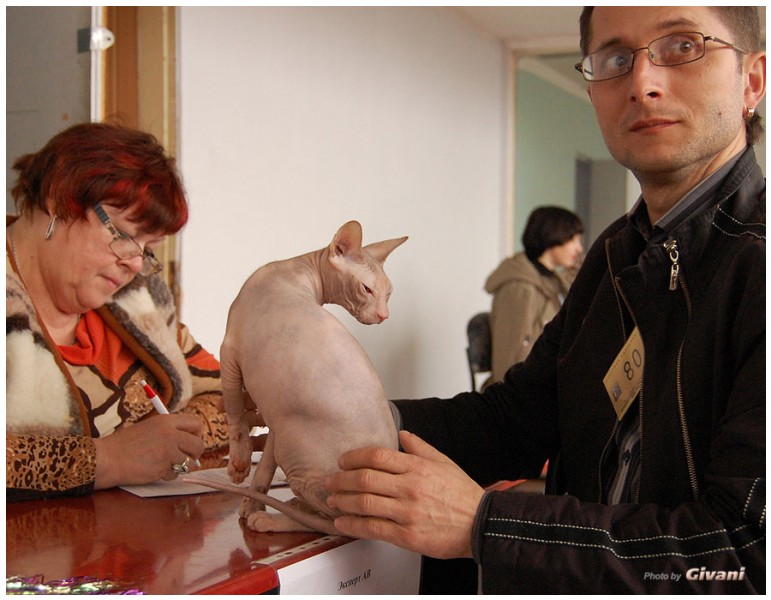 Cats Shows Photo • Выставки кошек - Cats Show • March, 2010 • Донецк - 618